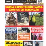 Cómo aconsejar a tus hijos adolescentes después de dejar una relación.
