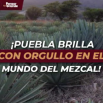#Estados_Veracruz_Tinaja.
