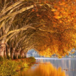 #JUVENTUD_POBLANA_COMPETIRÁN_EN_CONCURSO_GASTRONÓMICO.