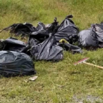 Martes 11 de noviembre de 2025