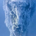 #ESTUDIANTES_SE_REVELAN.