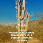 Anuncian Bodas Colectivas 2026 en Tehuacán para el 14 de febrero