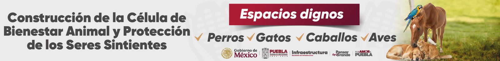 728 X 90_Mesa de trabajo 1