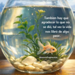 Reflexión de hoy