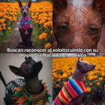VIVE EL ATLIXCÁYOTL…
