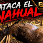 Matan Ganado Bovino, “temen sea un nahual”.